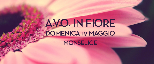 Avo-in-fiore-monselice